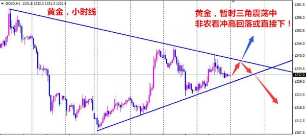 黄金，这会单纯从技术上来看，多空各占一半，昨天日线冲高1240但回落的幅度不算大，价格还在本周的上升趋势线上运行，另外空头方面1243.6-1240高点在不断降低，形成三角震荡区间，时间上又刚好临近非农，其实也可能是在等非农，反正不管是哪种三角震荡已经形成，消息面才会打破这种形态，个人角度来看，下跌应该没有走完，所以1243.6可能会被上破，但只要往上走太多破坏下跌形态，基本上还是看空无疑，简单一点说可以反弹到1250一带，但应该收不住，会冲高回落，现在三角震荡区间小，白天无操作可能性，或激进一些1240一线开空，止损放到1244持有至非农前;日内走势，黄金激进1239空，止损1243，目标1225、1218!