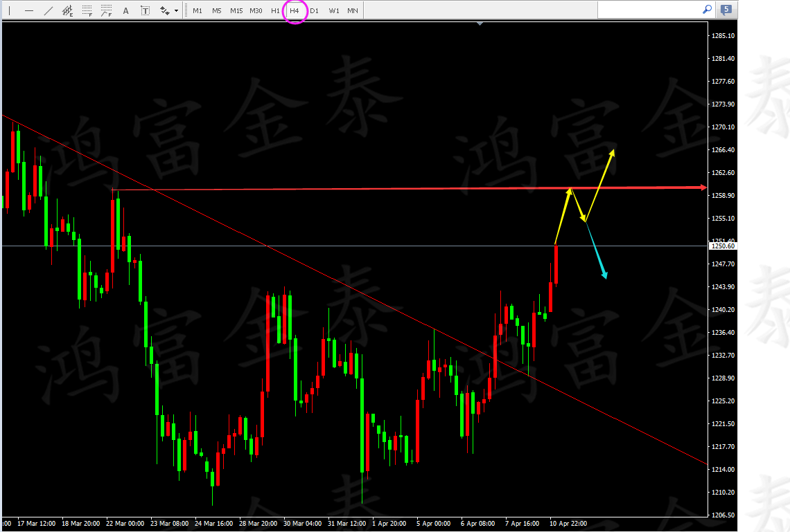 鸿富金泰：早盘1243附近干多，目标直指1260