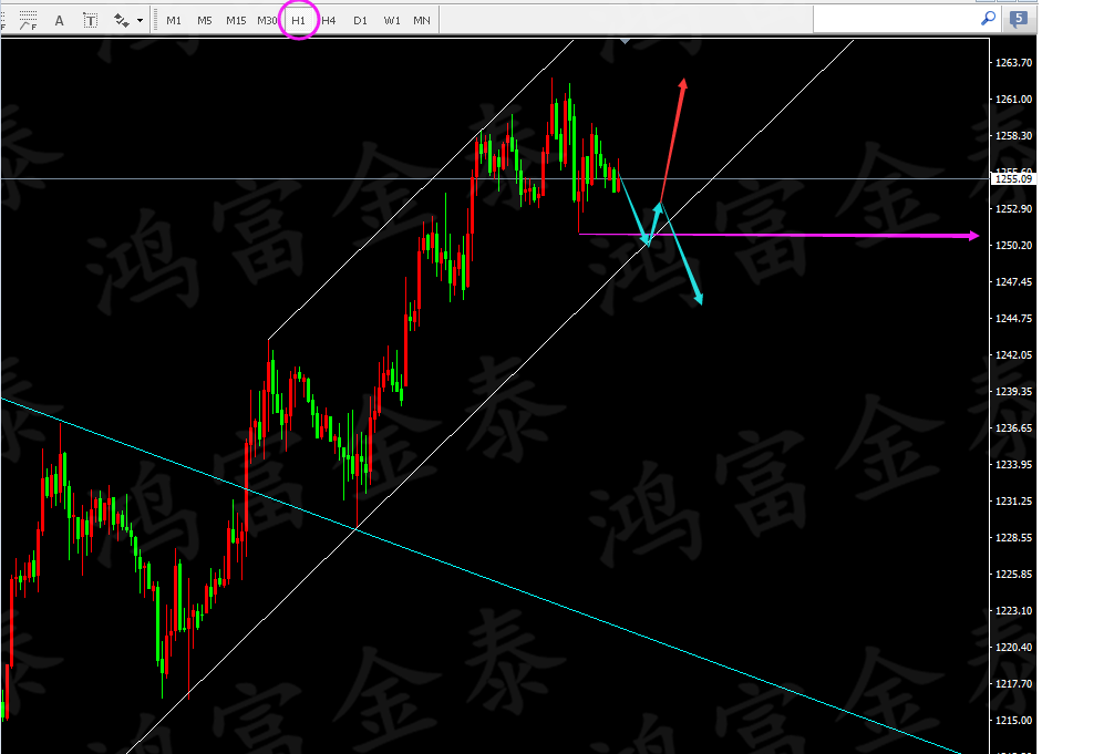 鸿富金泰：黄金涨势终结全面看跌，跌破1246加仓做空