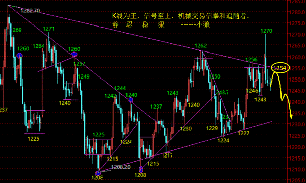 小狼：黄金回归整理，1254下做空看回撤