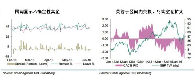 展望未来，仍认为在此次公投前，英镑料不会步入任何有意义的趋势。