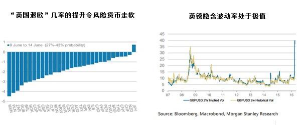 大摩：英国一旦脱欧，主要货币将何去何从？